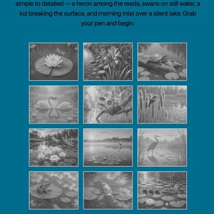 Patrones de pintura de puntos de lagos y lirios en PDF / 12 páginas de arte de puntos imprimibles / Páginas para colorear relajantes para adultos / Descarga instantánea imagen 3