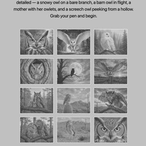 May include: A dot painting activity book titled Talons & Twilight featuring 12 owl designs. The cover displays a grid of 12 grayscale illustrations of various owls in natural settings, including a snowy owl, a barn owl, and owls in trees.