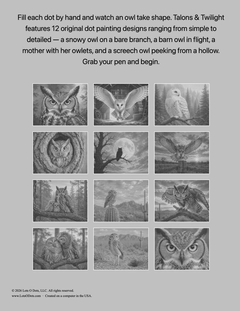 May include: A dot painting activity book titled Talons & Twilight featuring 12 owl designs. The cover displays a grid of 12 grayscale illustrations of various owls in natural settings, including a snowy owl, a barn owl, and owls in trees.