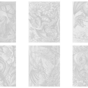 May include: A collection of six rectangular coloring pages featuring intricate line art illustrations of dragons integrated with various floral elements, butterflies, and architectural structures, presented in a grid layout on a white background.