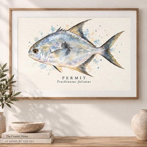 以下が含まれることがあります： クリーム色の背景に青、グレー、ベージュの絵の具が飛び散った、パーミットフィッシュ（Trachinotus falcatus）の水彩画風プリント。魚のイラストの下には、黒い文字で「PERMIT Trachinotus falcatus」と印刷されています。