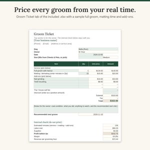 Groom Ticket tab of the spreadsheet with a sample full groom for a medium dog, matting time, two add-ons, total and internal profit check