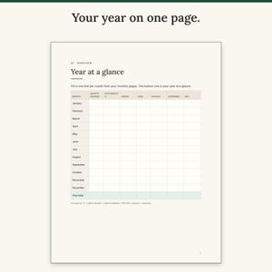 Printable Year at a glance page with monthly nights, occupancy, gross, fees, payout, expenses and net columns