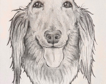 ペットのカスタム鉛筆画：6×9インチの肖像画