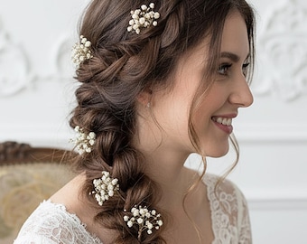6 Horquillas Pequeñas de Paniculata Preservada - Flores para Novia, Primera Comunión y Damas de Honor