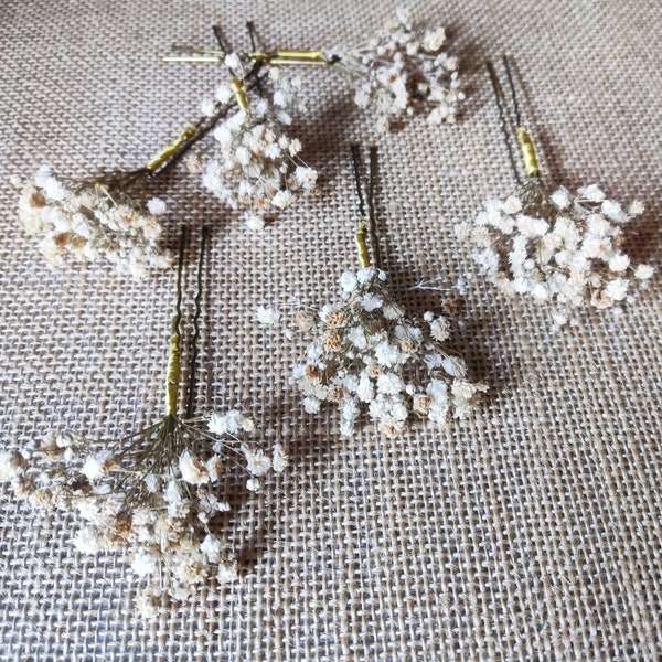 3 uds Horquillas novia con paniculata preservada, Adorno floral boda