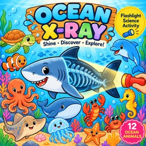 May include: Ocean X-Ray activity book cover featuring a cartoon shark with a visible skeleton illuminated by a flashlight. The title reads Ocean X-Ray Shine Discover Explore. Includes illustrations of a turtle, clownfish, octopus, ray, whale, jellyfish, crab, starfish, seahorse, and dolphin.