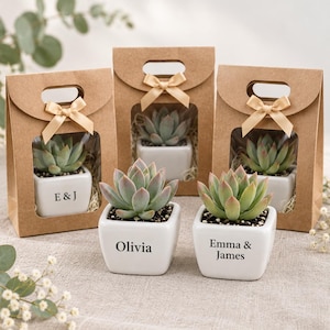 May include: Three brown kraft paper gift bags with die-cut handles and beige satin bows, each containing a white square ceramic planter with a green succulent. Two additional white square planters with succulents sit in front, personalized with the text E & J, Olivia, and Emma & James.