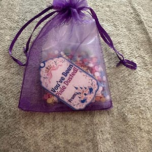 May include: A purple organza drawstring pouch filled with small, multicolored circular beads. A decorative tag is attached to the front, featuring a castle illustration and the text: You've Been Pixie Dusted! From: