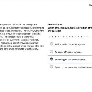 Op de afbeelding: Een digitale testinterface toont vraag 1 van 45 met een passage over de Pet Rock-rage. Het scherm toont een meerkeuzevraag over de definitie van tongue-in-cheek, waarbij de optie In a joking or humorous manner is geselecteerd.