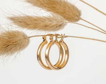 Maria Hoops
