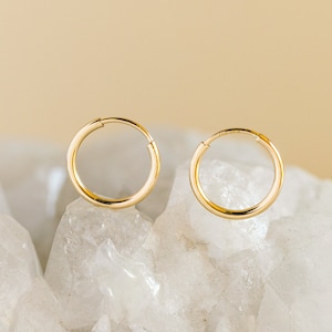 Plain Hoop Hugger Earrings