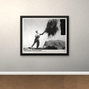 May include: A black and white framed photograph depicting a person using a pitchfork to toss harvested rice. The text at the bottom reads: TECHNICAL ASSISTANCE - AGRICULTURE: RICE HARVEST. The print is enclosed in a simple black rectangular frame.