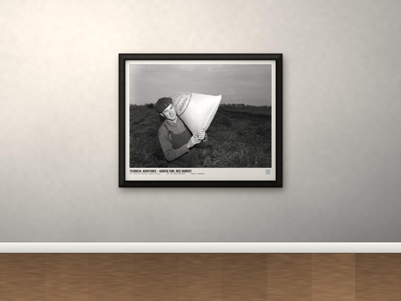 May include: A black and white framed photograph depicting a person in overalls and a cap carrying a large sack in a field. The print includes the text: TECHNICAL ASSISTANCE - AGRICULTURE: RICE HARVEST. The frame is black with a white mat border.