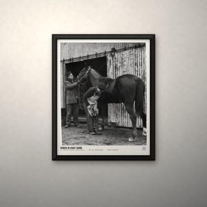 May include: A black and white framed photograph titled HORSES IN COAST GUARD, depicting a person in a coat and hat holding a horse while another person in an apron works on the horse's hoof in front of a corrugated metal building.