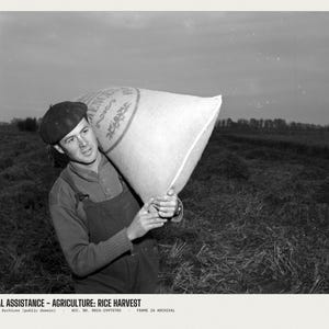 May include: A black and white photograph showing a person wearing a beret and overalls, carrying a large sack over their shoulder. The sack features visible text and decorative patterns. The scene is set in a field during a harvest.