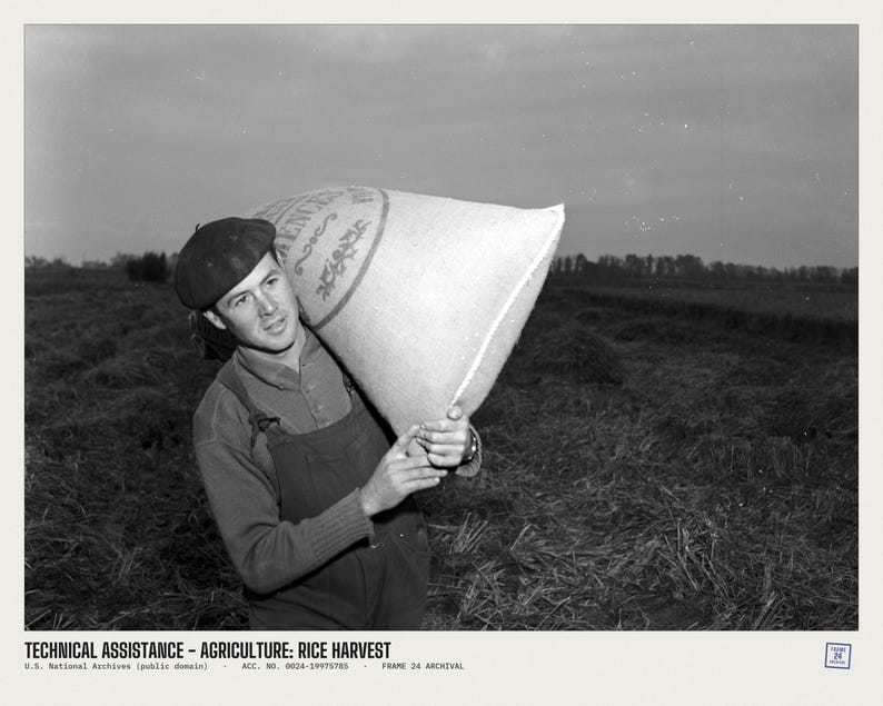 May include: A black and white photograph showing a person wearing a beret and overalls, carrying a large sack over their shoulder. The sack features visible text and decorative patterns. The scene is set in a field during a harvest.