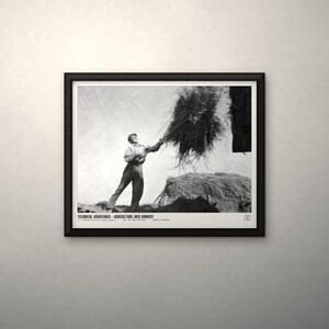 May include: A black and white framed photograph depicting a person tossing a bundle of rice stalks into the air. The print includes the text: TECHNICAL ASSISTANCE - AGRICULTURE: RICE HARVEST. The scene captures a historical agricultural moment.