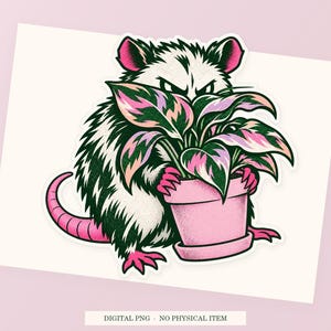 Possum Social Camouflage close view showing the pink and green artwork and white outline.