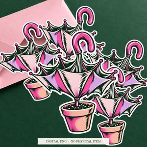 Umbrella Indoor Plant displayed on an envelope with a green background. Digital mockup, no physical item included.