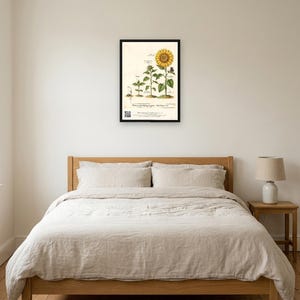 Personalised teacher thank-you print in the style of a coloured botanical engraving: one plant shown in four stages from seed to flower on cream, with Thank you for helping me grow and a line for the class name and year.