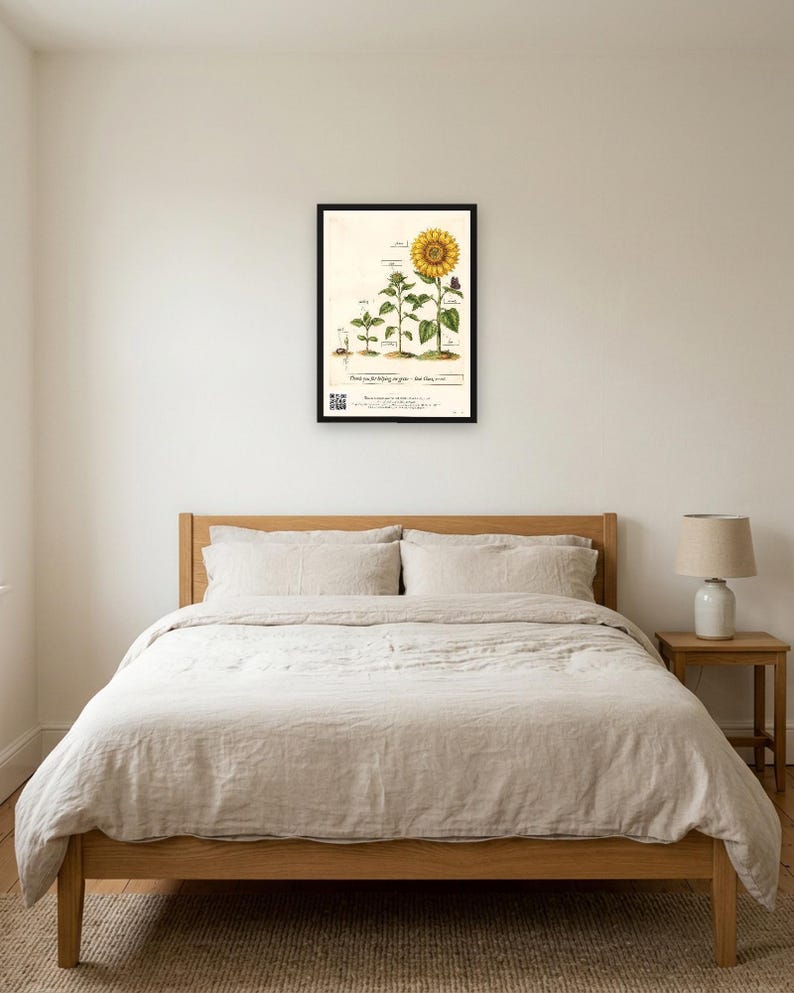 Personalised teacher thank-you print in the style of a coloured botanical engraving: one plant shown in four stages from seed to flower on cream, with Thank you for helping me grow and a line for the class name and year.