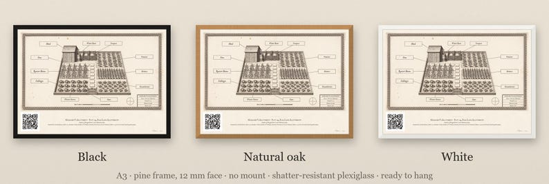 Personalised allotment plan print in blue-and-white technical lines: a blueprint of an allotment with numbered beds, a shed, water butt and compost heap, and a title block for the site name, plot number and owner.