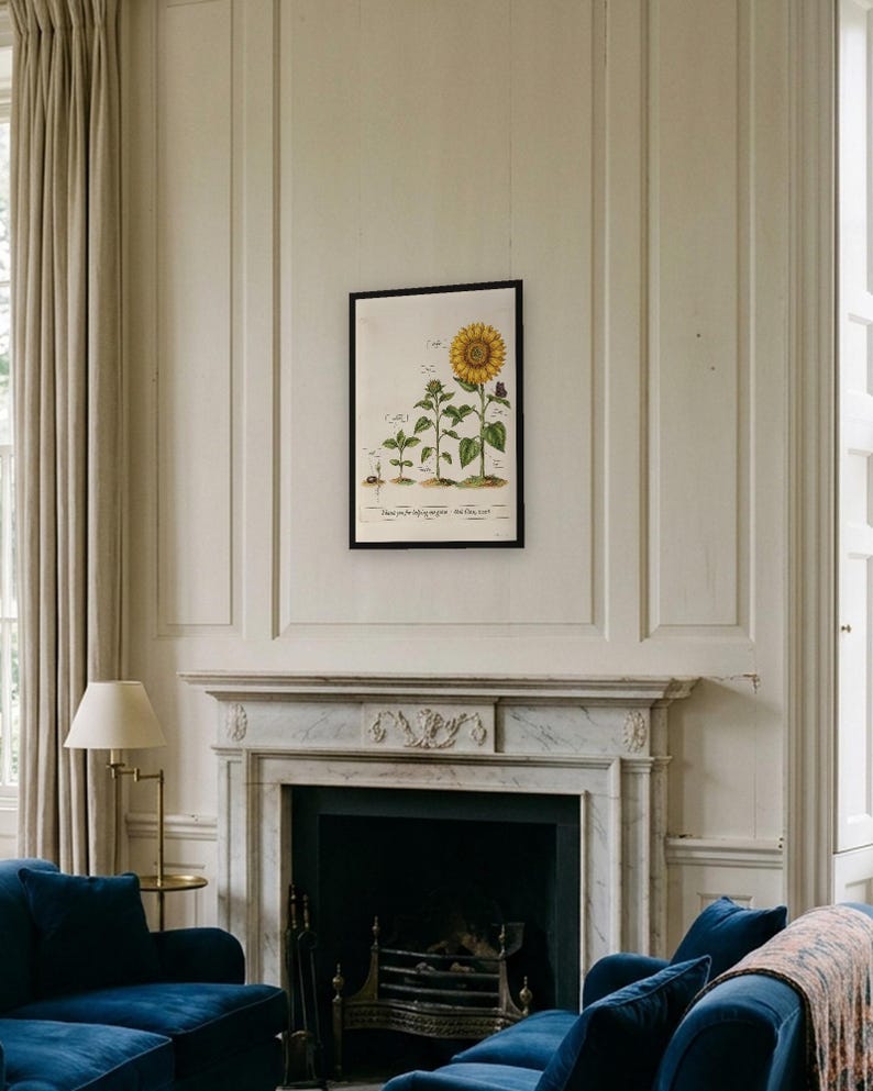 Personalised teacher thank-you print in the style of a coloured botanical engraving: one plant shown in four stages from seed to flower on cream, with Thank you for helping me grow and a line for the class name and year.