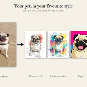 Personalised pet portrait print: From your photo to a portrait: the same pug in three styles