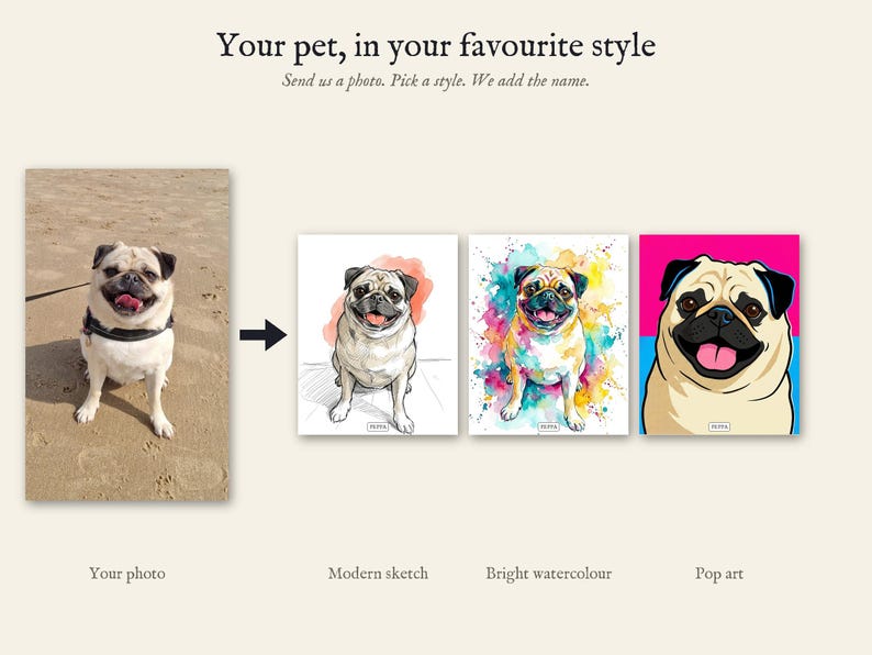 Personalised pet portrait print: From your photo to a portrait: the same pug in three styles