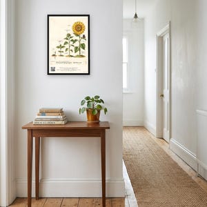 Personalised teacher thank-you print in the style of a coloured botanical engraving: one plant shown in four stages from seed to flower on cream, with Thank you for helping me grow and a line for the class name and year.