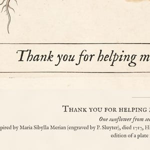 Personalised teacher thank-you print in the style of a coloured botanical engraving: one plant shown in four stages from seed to flower on cream, with Thank you for helping me grow and a line for the class name and year.