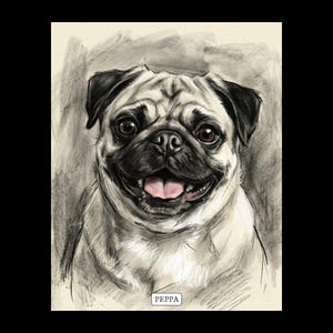 Personalised pet portrait print in charcoal, on black: a pug drawn in soft black charcoal on cream paper with the pet name on a small label. Sample picture; yours is made from your own photo.