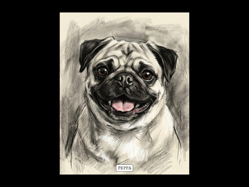 Personalised pet portrait print in charcoal, on black: a pug drawn in soft black charcoal on cream paper with the pet name on a small label. Sample picture; yours is made from your own photo.