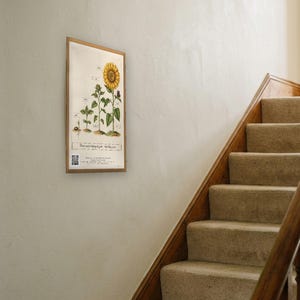 Personalised teacher thank-you print in the style of a coloured botanical engraving: one plant shown in four stages from seed to flower on cream, with Thank you for helping me grow and a line for the class name and year.