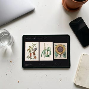 Personalised teacher thank-you print in the style of a coloured botanical engraving: one plant shown in four stages from seed to flower on cream, with Thank you for helping me grow and a line for the class name and year.