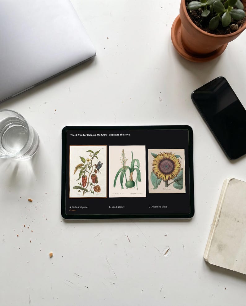 Personalised teacher thank-you print in the style of a coloured botanical engraving: one plant shown in four stages from seed to flower on cream, with Thank you for helping me grow and a line for the class name and year.