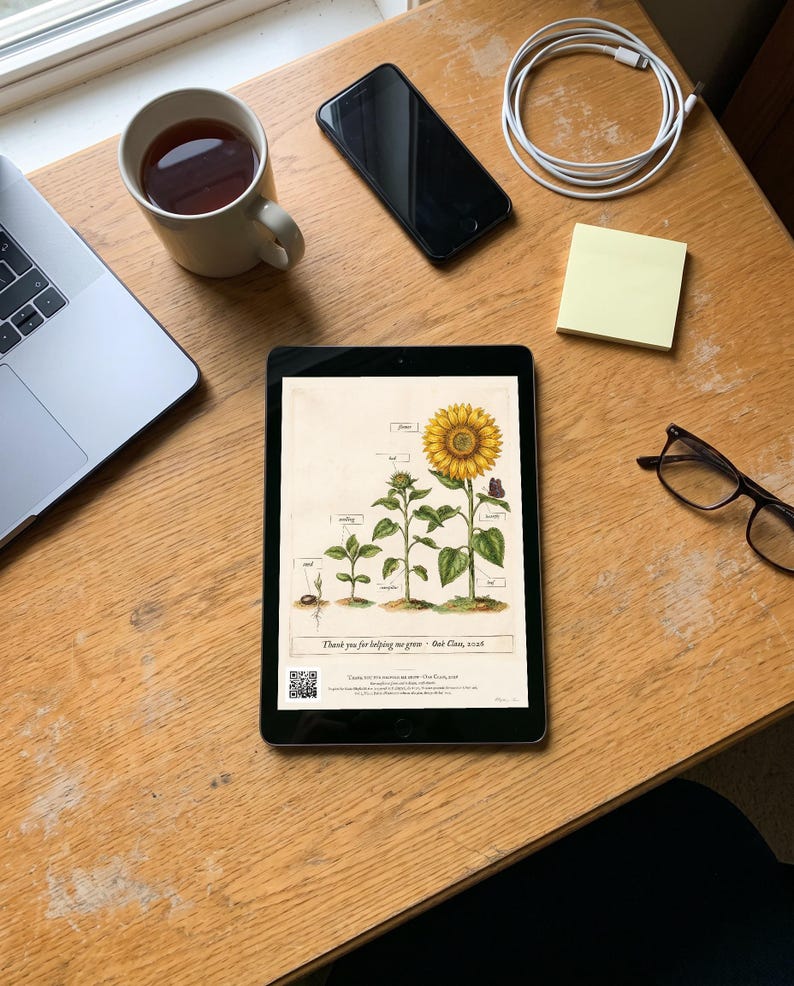 Personalised teacher thank-you print in the style of a coloured botanical engraving: one plant shown in four stages from seed to flower on cream, with Thank you for helping me grow and a line for the class name and year.