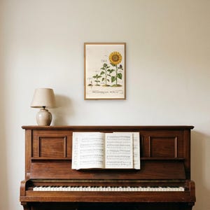 Personalised teacher thank-you print in the style of a coloured botanical engraving: one plant shown in four stages from seed to flower on cream, with Thank you for helping me grow and a line for the class name and year.