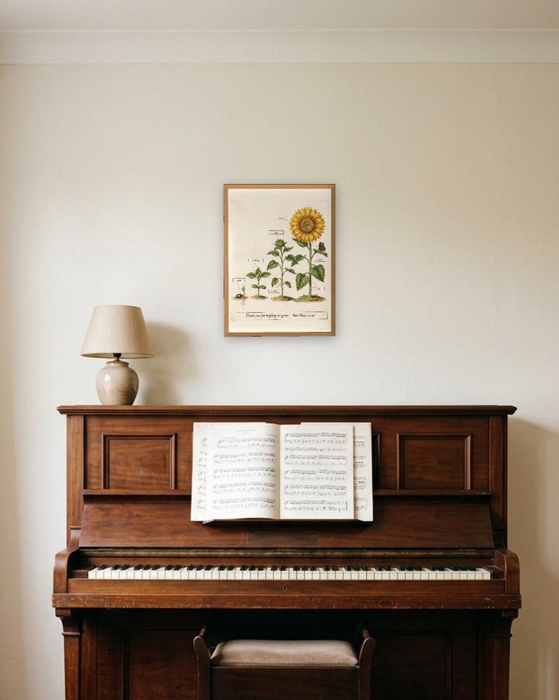 Personalised teacher thank-you print in the style of a coloured botanical engraving: one plant shown in four stages from seed to flower on cream, with Thank you for helping me grow and a line for the class name and year.
