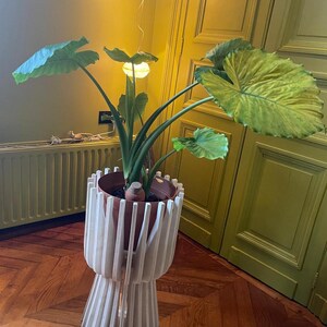 Op de afbeelding: Een grote groene Alocasia-plant met brede, hartvormige bladeren in een bruine plastic pot. De pot staat in een witte, houten plantenstandaard met latten, voorzien van een verticaal, geometrisch ontwerp met een smal midden en een uitlopende voet.