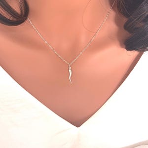 Sterling Silver Italian Horn Necklace: Good Luck Charm