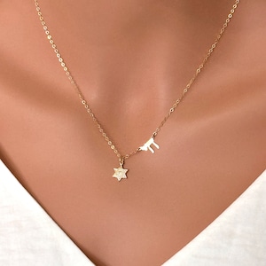 Chai and Star of David Necklace, Jewish star necklace, Bat Mitzvah Gift, Gold Filled Necklace, Hebrew Necklace,  Chai Necklace Star David