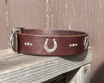 Collared Up 1.5” wide collar with Horseshoe conchos