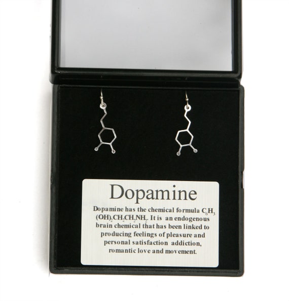 Vintage Dopamine Molecule Earrings,Love Equation Earrings,The Chemical Earrings,Women Jewelry