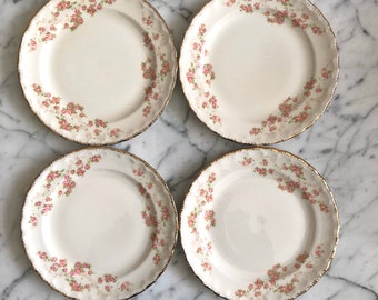 Pope Gosser China Bread/Butter plates set of 4