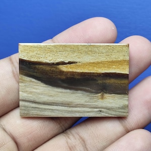 Golden Grain Petrified Wood Slab – Fossilized Wood from Java (44x30x4mm)
