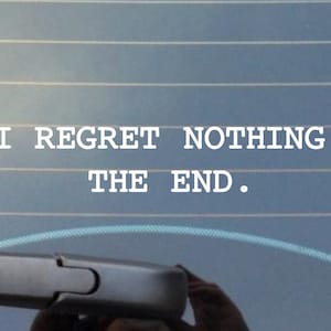 I regret nothing. The End. Car Decal/laptop Decal/Canteen Decal