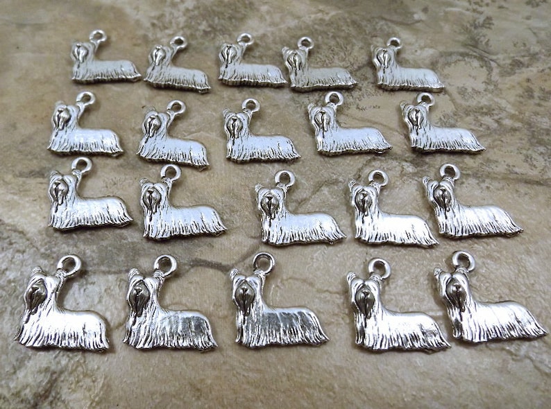 20 Pewter Yorkshire Terrier Charms 5491