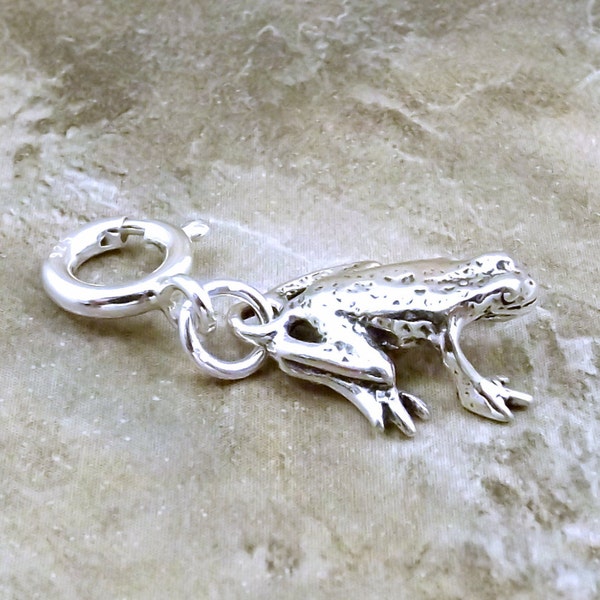 Sterling Silver Frog Charm-Fits European and Traditional Charm Bracelets - 0909